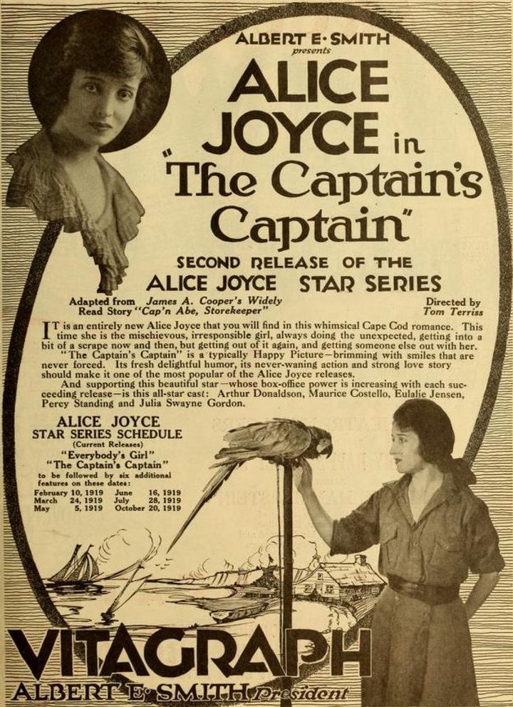 The Captain's Captain (1919) Poster