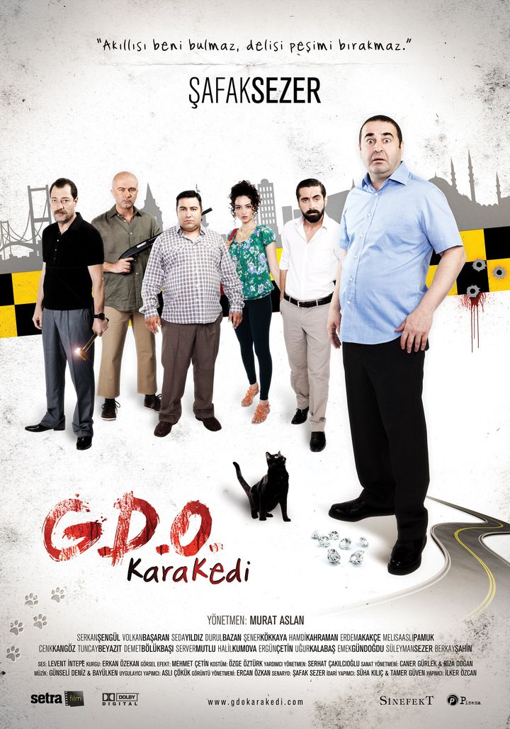 G.d.o. Kara Kedi (2013) Poster