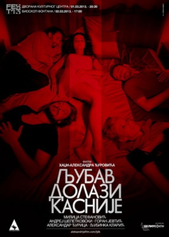 Ljubav Dolazi Kasnije (2013) Poster