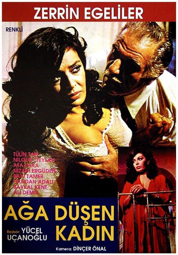 Aga Düsen Kadin (1979) Poster