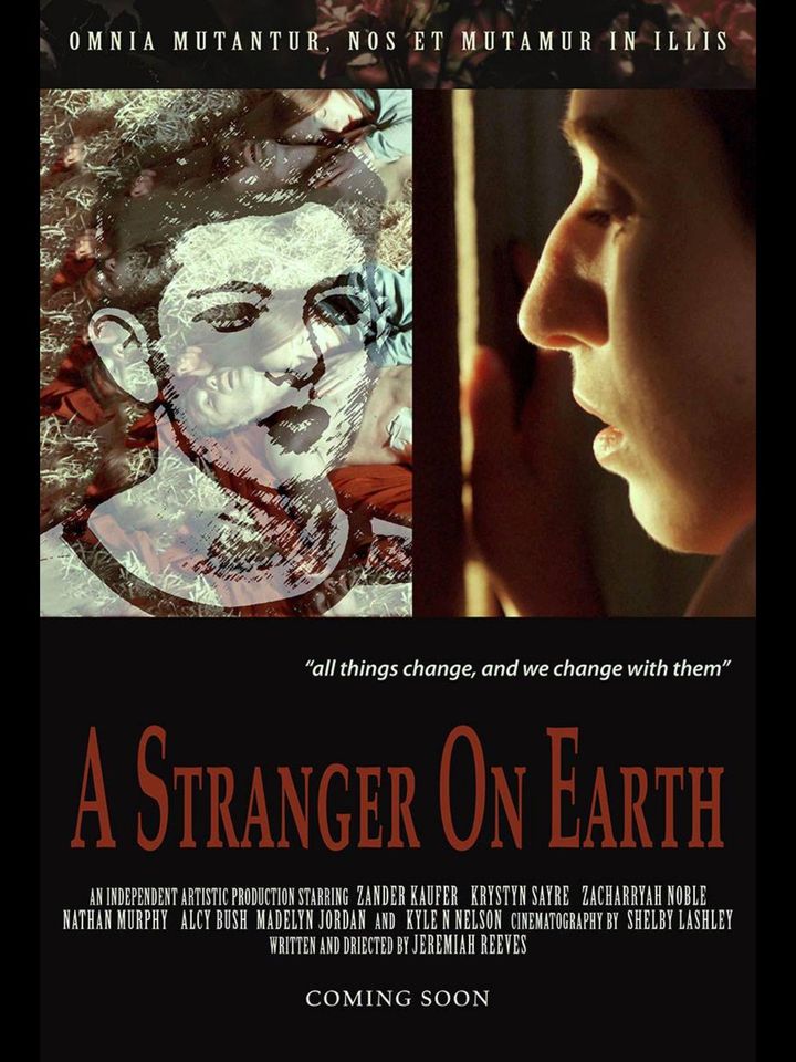 A Stranger On Earth Poster