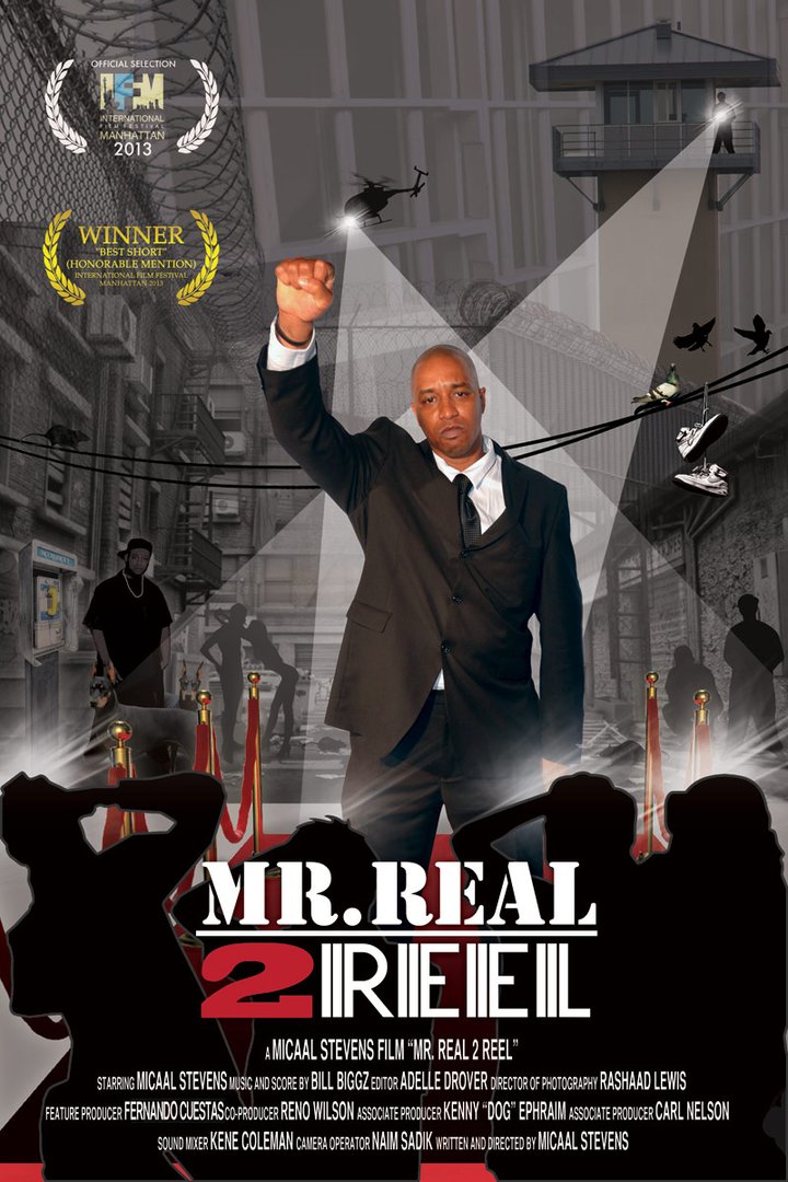 Mr Real 2 Reel (2014) Poster