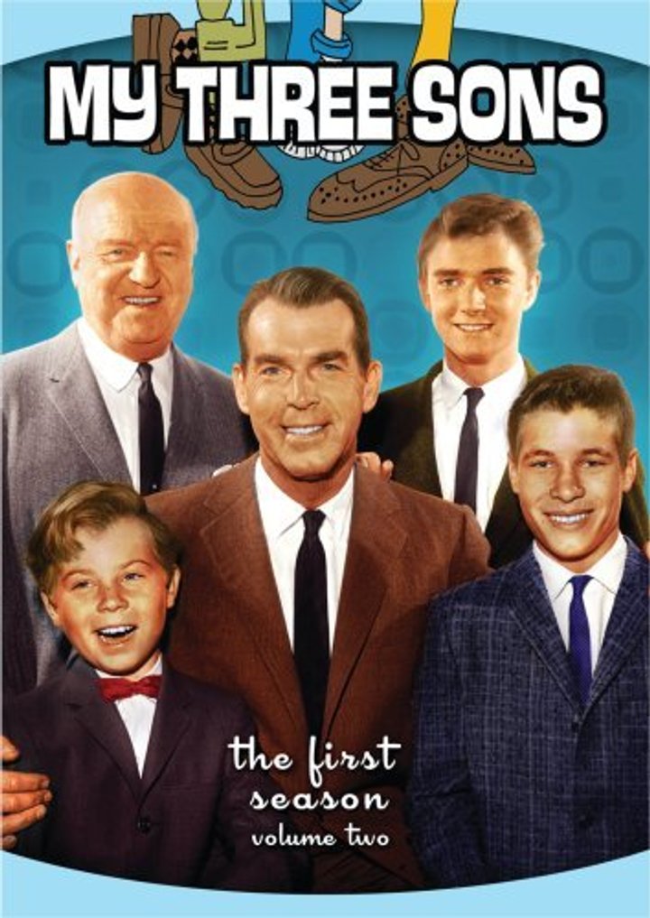 My Three Sons (1960) Poster