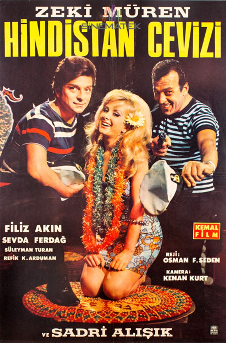 Hindistan Cevizi (1967) Poster