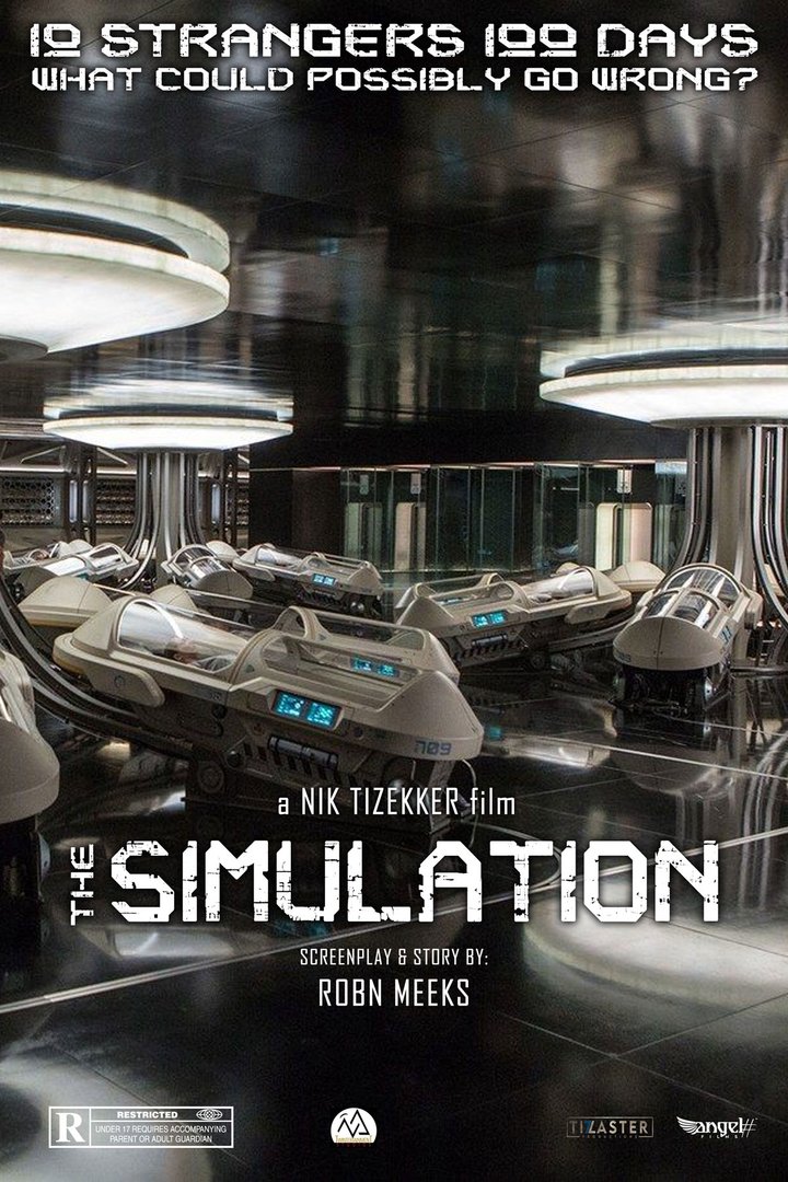 The Simulation Poster