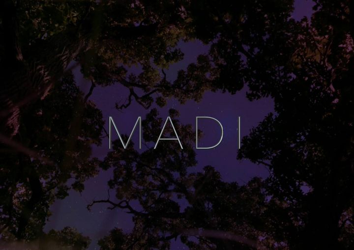 Madi (2016) Poster