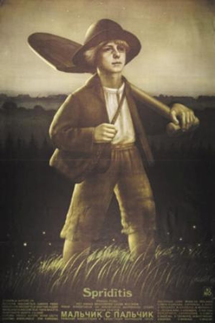 Pohádka O Malíckovi (1986) Poster