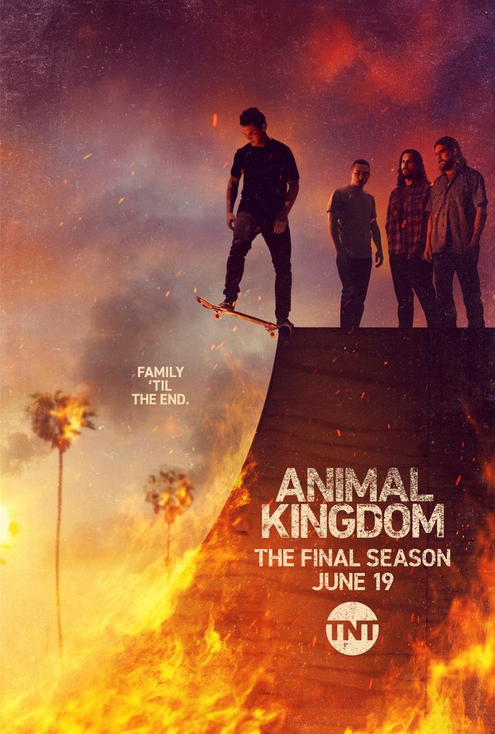 Animal Kingdom (2016) Poster