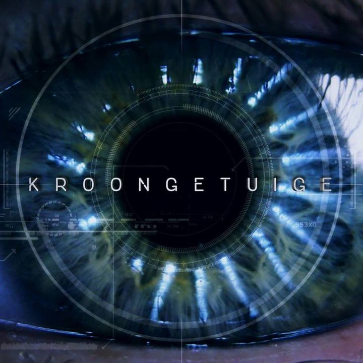 Kroongetuige (2017) Poster