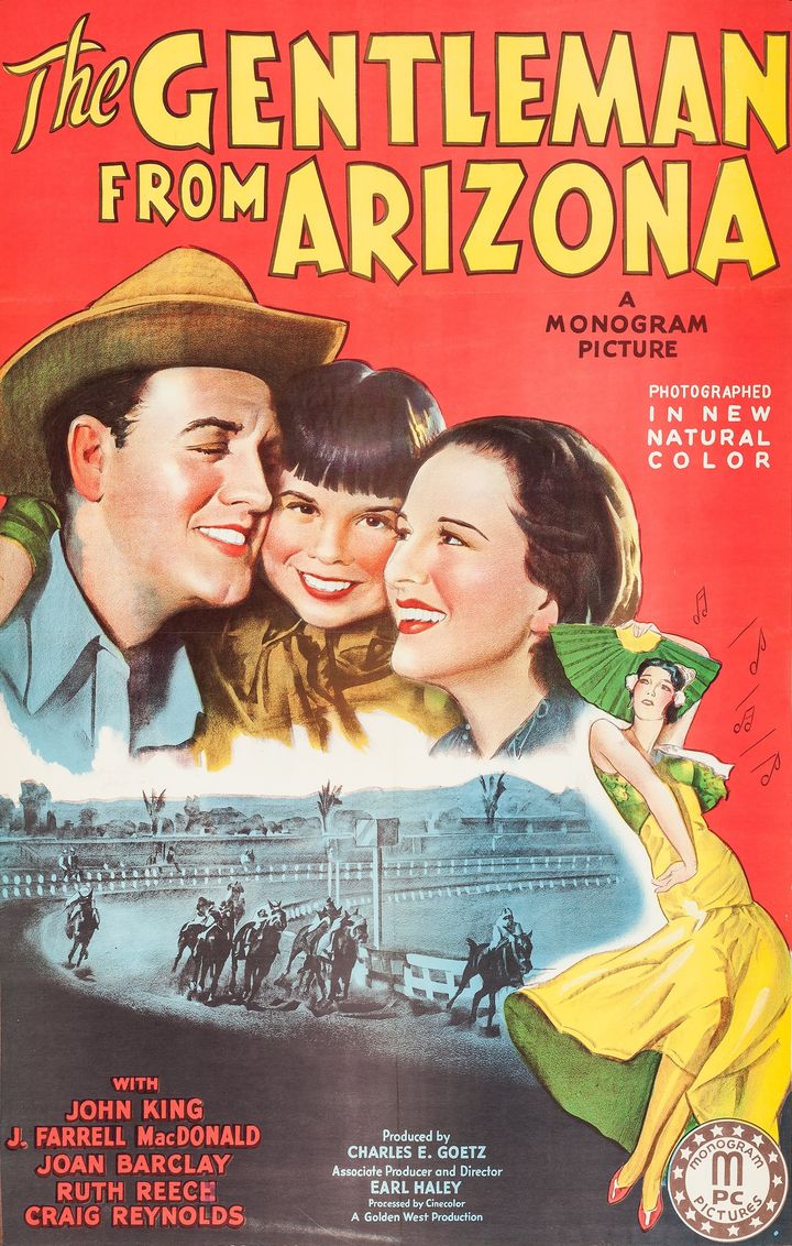 The Gentleman From Arizona (1939) Poster