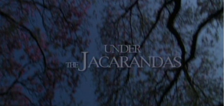 Under The Jacarandas (2022) Poster