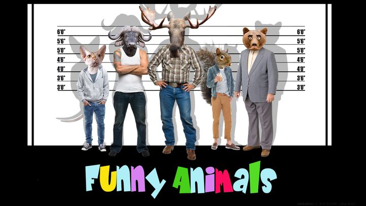 Funny Animals (2022) Poster