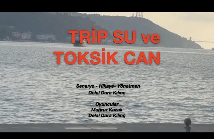 Trip Su Ve Toksik Can (2024) Poster