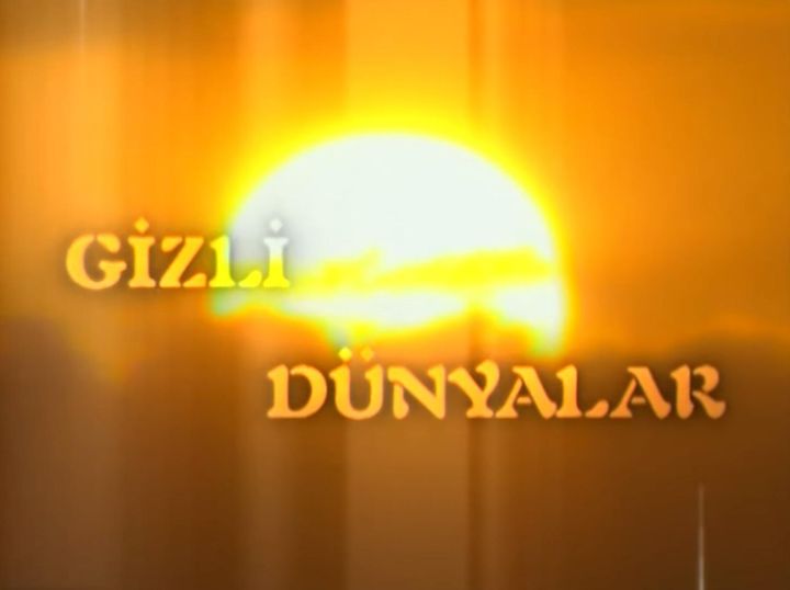 Gizli Dünyalar (2004) Poster