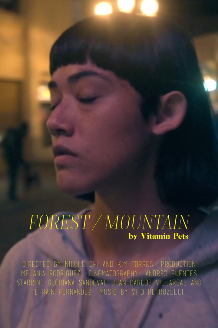 Forest/mountain (2017) Poster