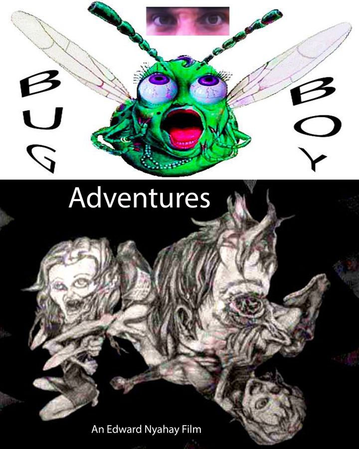 Bug Boy Adventures (1999) Poster