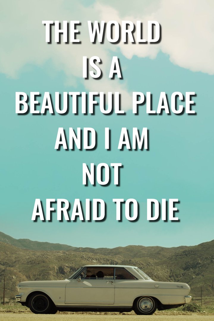 The World Is A Beautiful Place And I Am Not Afraid To Die (2023) Poster