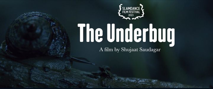 The Underbug (2023) Poster