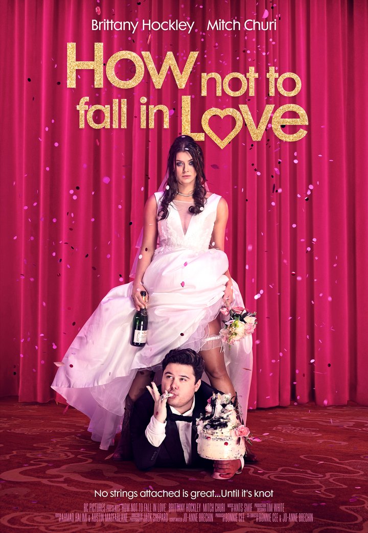 How Not To Fall In Love Poster