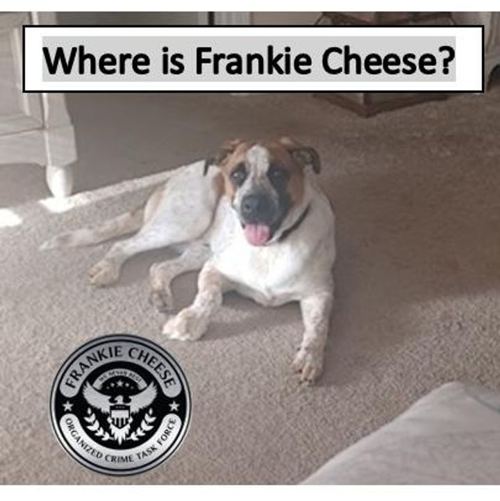 Where Is Frankie Cheese Poster