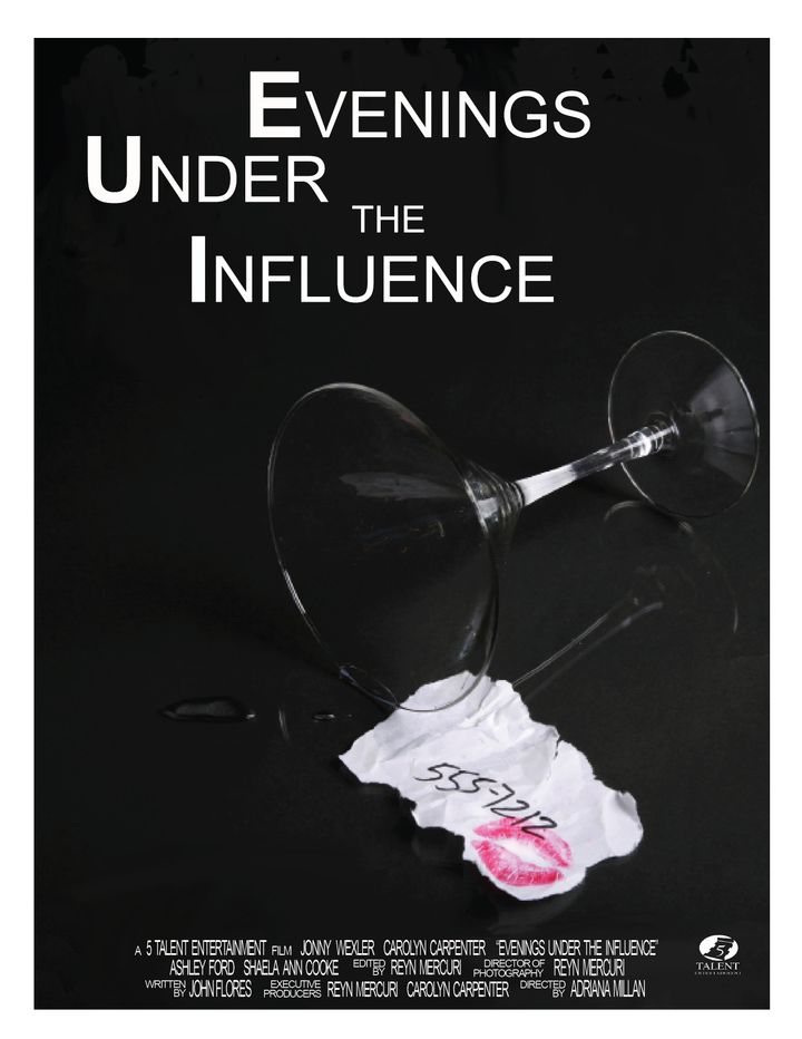 Evenings Under The Influence (2011) Poster