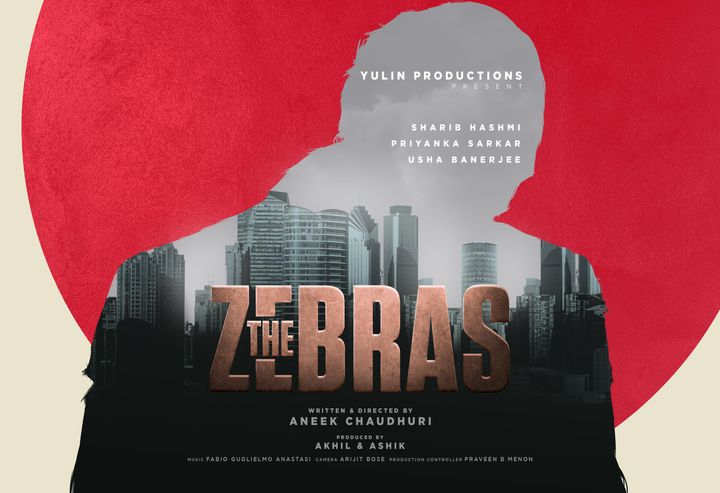 The Zebras: Dark Start (2024) Poster