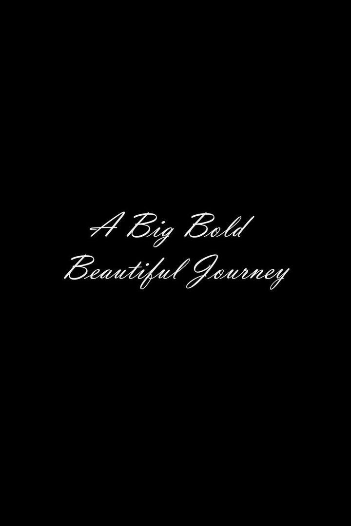 A Big Bold Beautiful Journey (2025) Poster