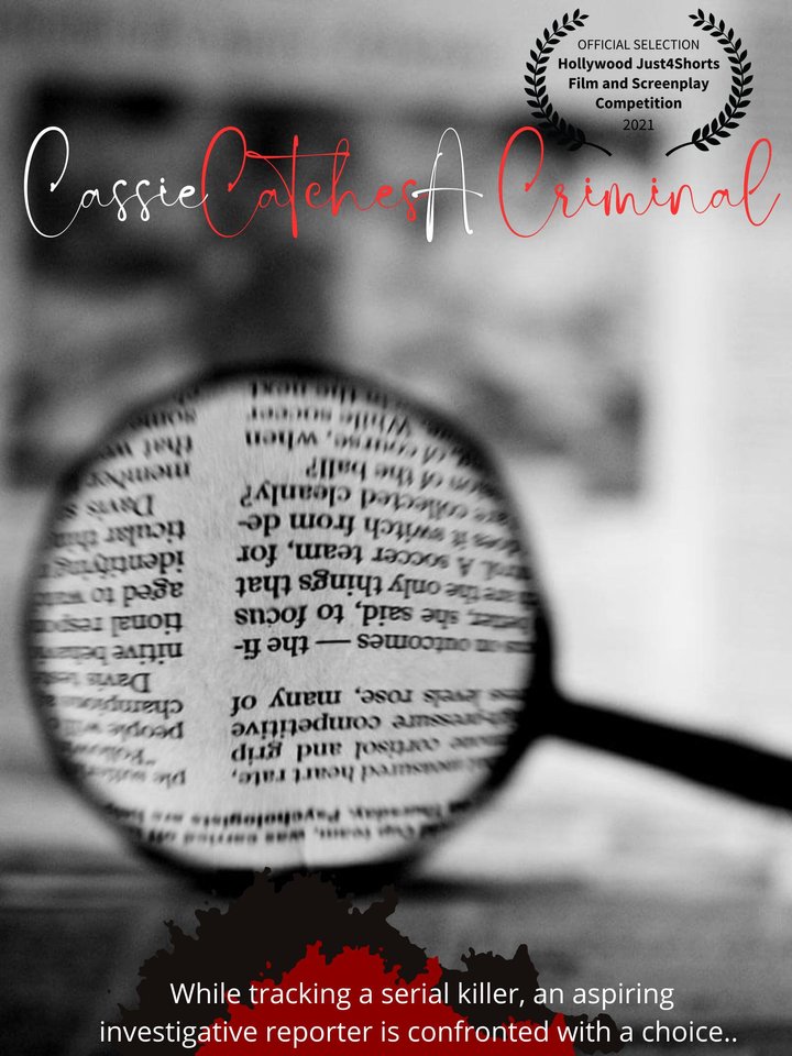 Cassie Catches A Criminal (2023) Poster