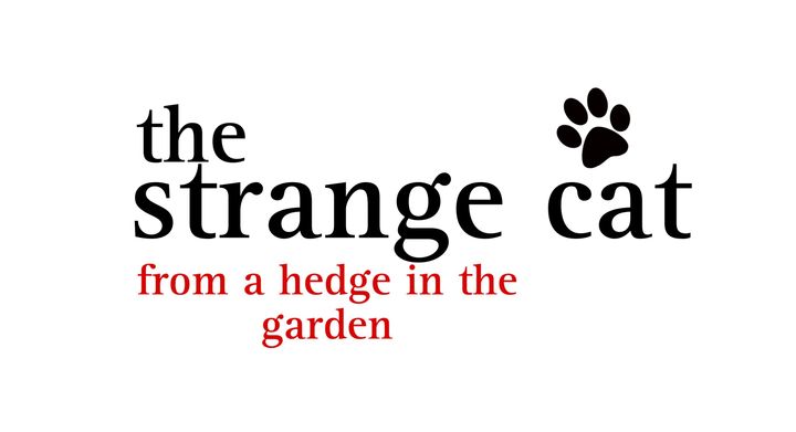 The Strange Cat From A Hedge In The Garden (2023) Poster