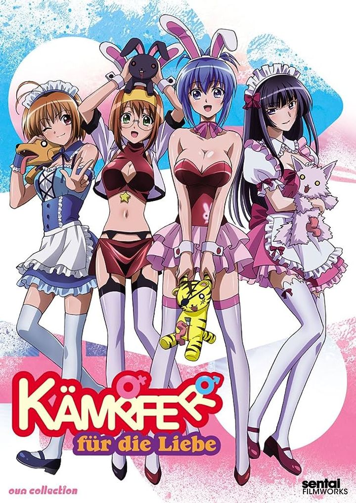 Kampfer: Fur Die Liebe (2011) Poster