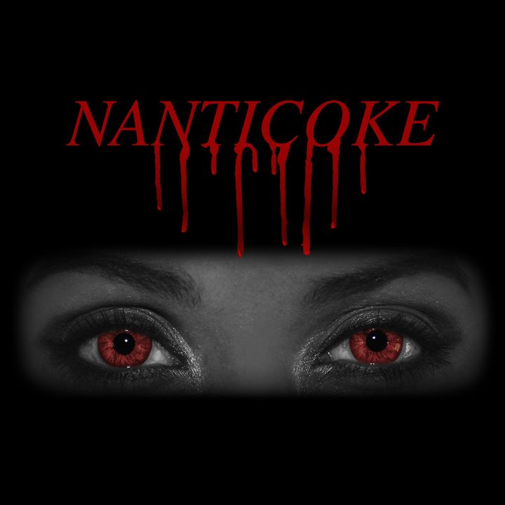 Nanticoke Poster