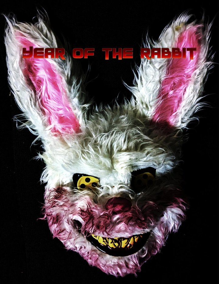 Year Of The Rabbit (2023) Poster