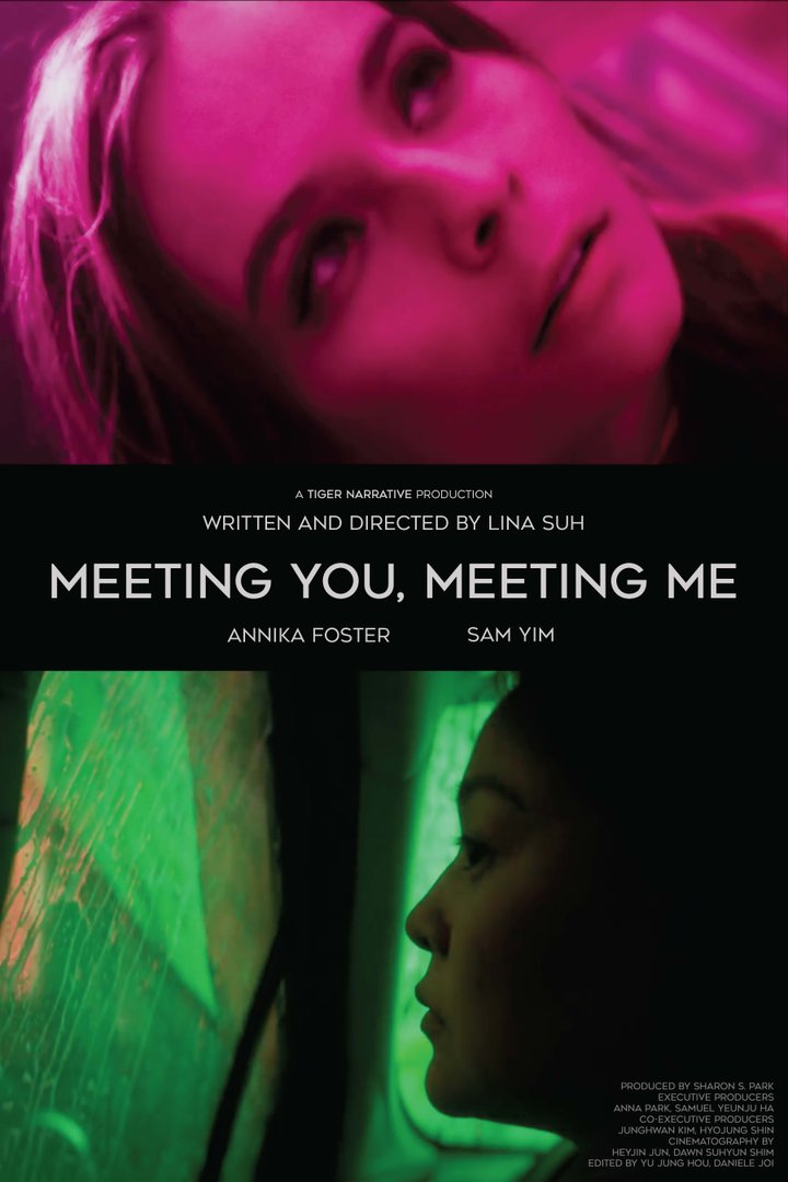 Meeting You, Meeting Me (2024) Poster