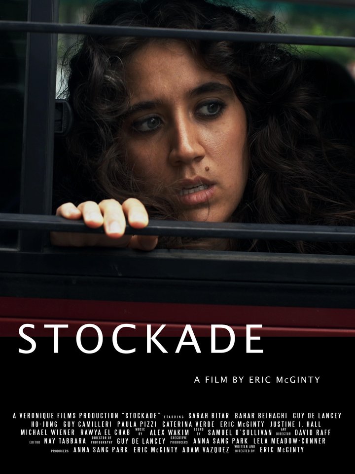 Stockade (2023) Poster