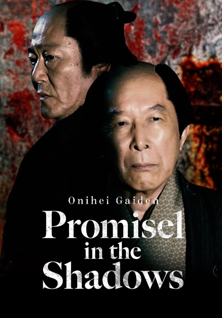 Promise In The Shadows (2013) Poster