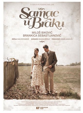 samac u braku 2014 poster