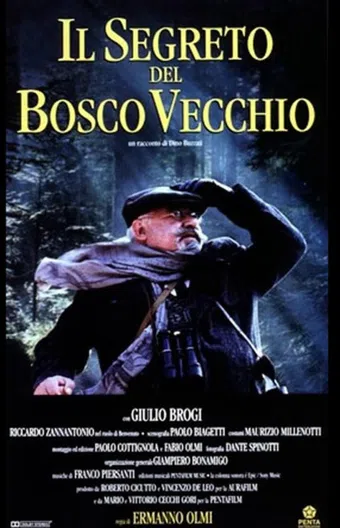 il segreto del bosco vecchio 1993 poster