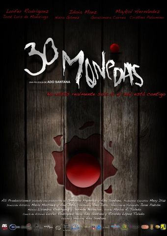 30 monedas 2014 poster