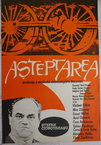 asteptarea 1971 poster