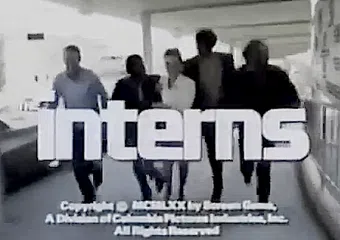 the interns 1970 poster