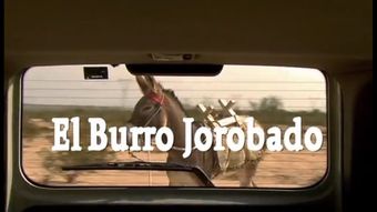 el burro jorobado 2009 poster