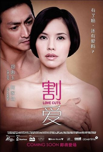 love cuts 2010 poster