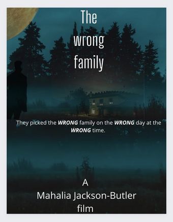 the wrong family poster