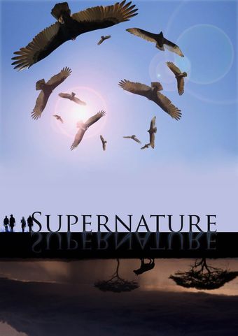 supernature poster