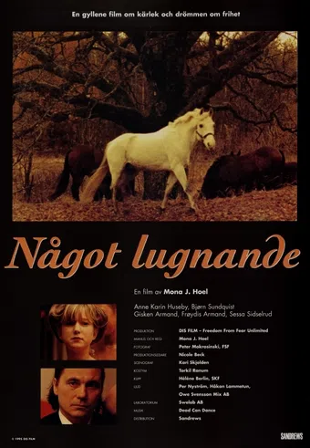 noe beroligende 1995 poster