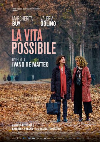 la vita possibile 2016 poster