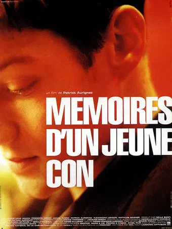 mémoires d'un jeune con 1996 poster