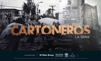 cartoneros 2016 poster