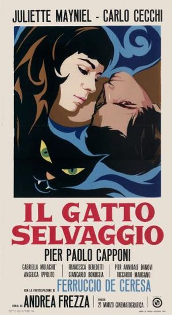 il gatto selvaggio 1968 poster