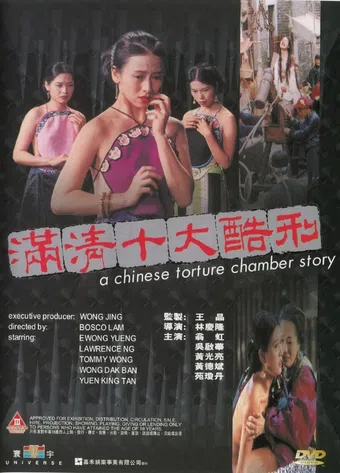 moon ching sap dai huk ying 1994 poster